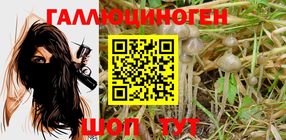 Бутурлиновка  Галлюциногенные грибы Psilocybe  Вход с VPN 
